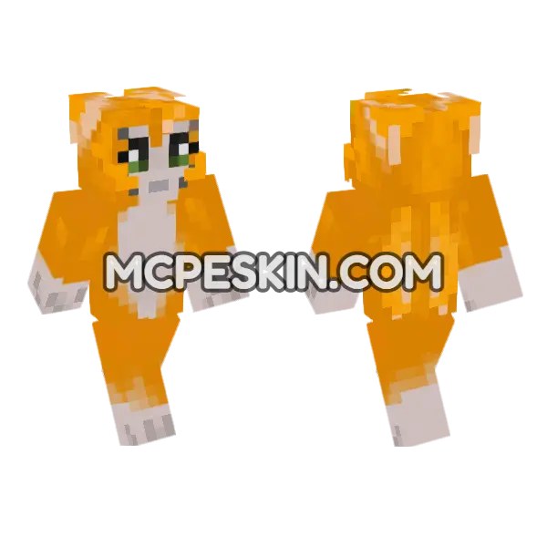 Orange Cat Character