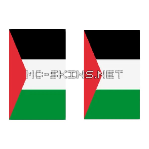Palestine Flag