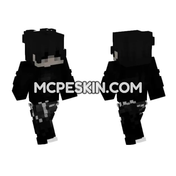 PVP Skin 3
