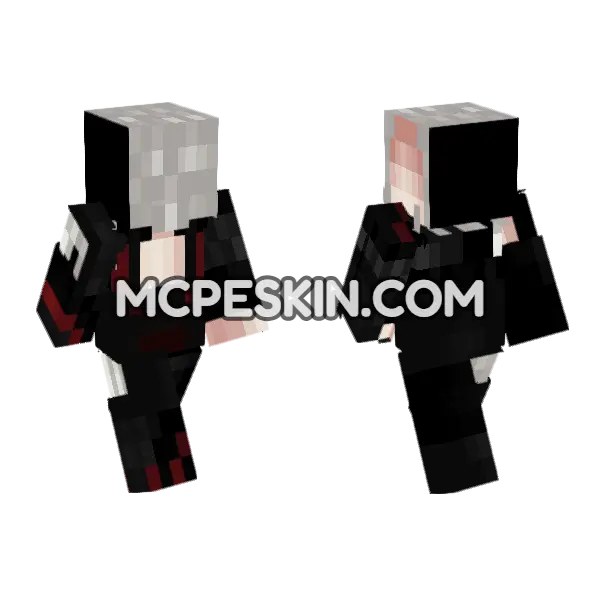 PVP Skin 5