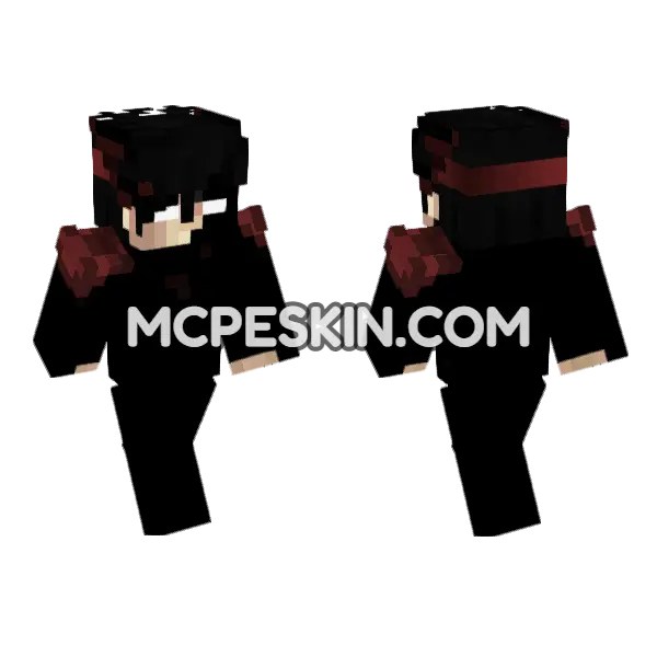 PVP Skin 5