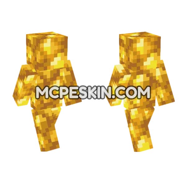Raw Gold Skin