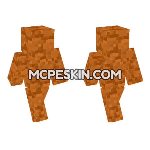 Red Sandstone Bottom