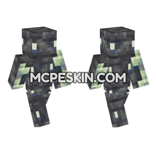 Reinforced Deepslate