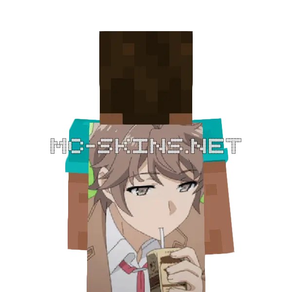 Sakuta Azusagawa