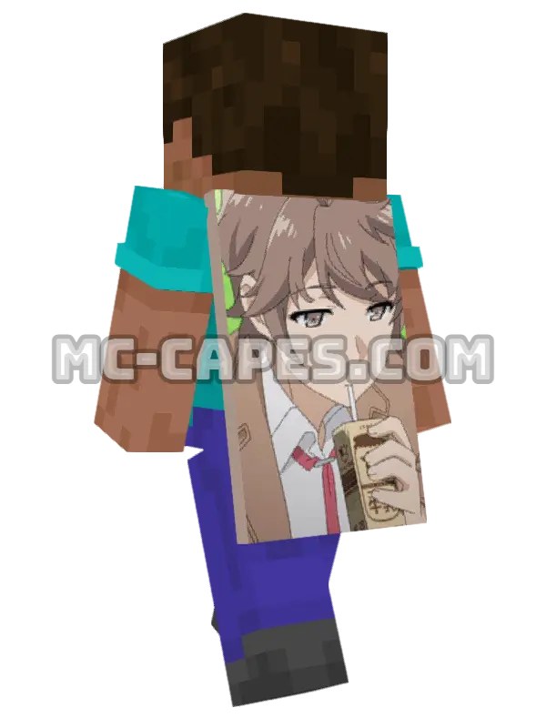 Sakuta Azusagawa