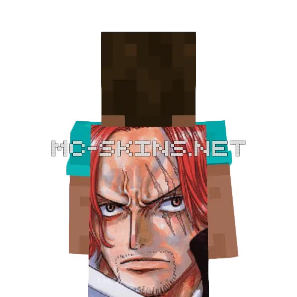 Shanks