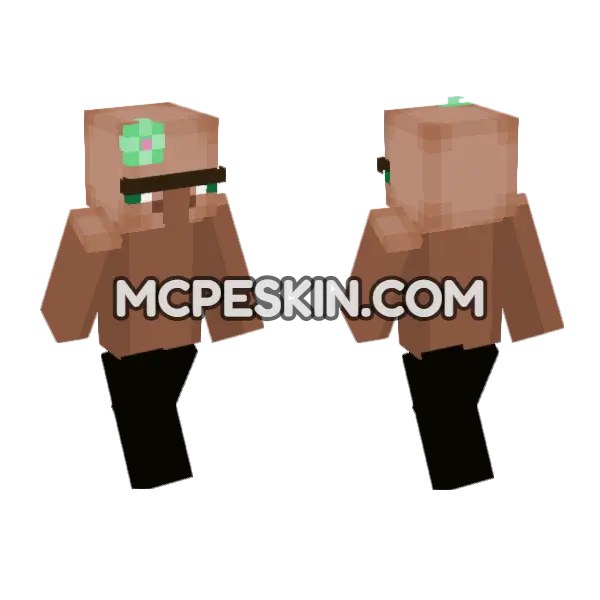 Skin34