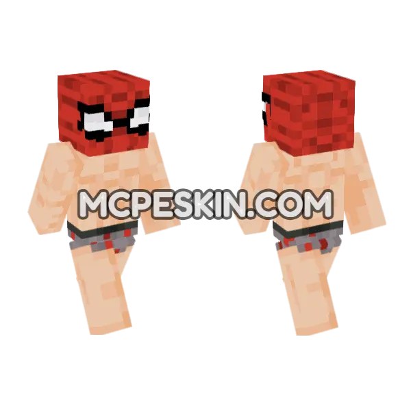 Spider-Man Skin