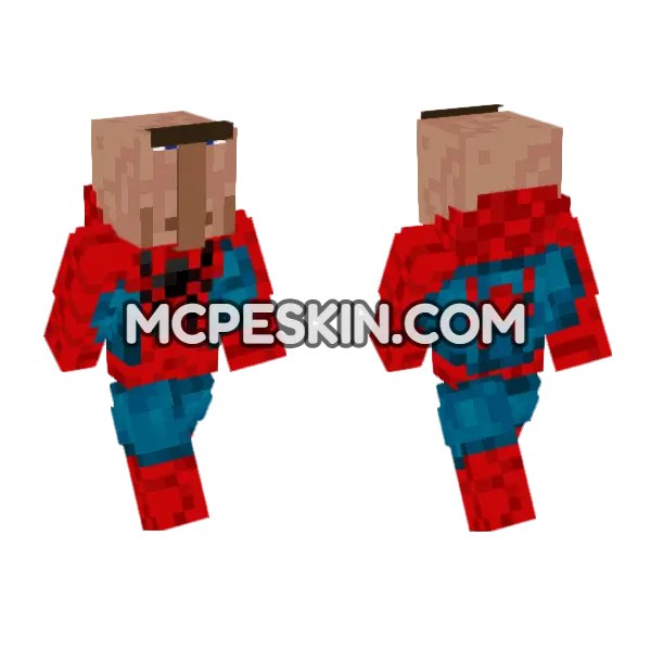 Spider-Man Skin