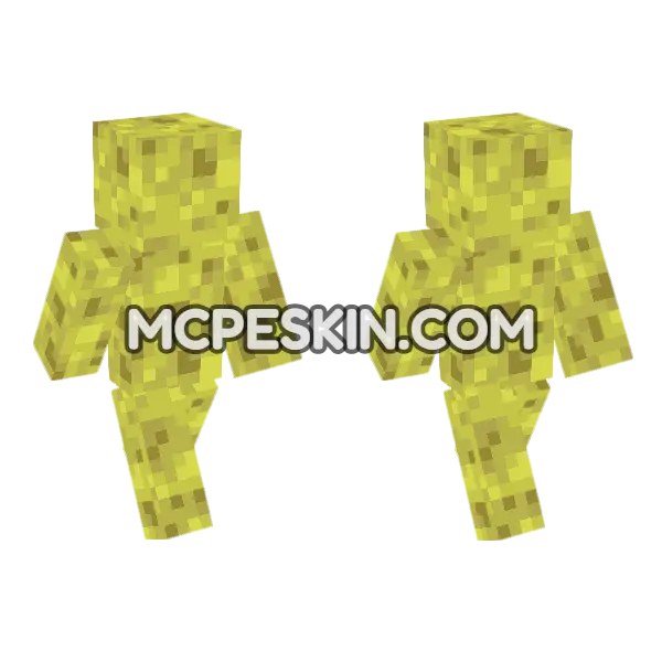 Sponge Bob Skin