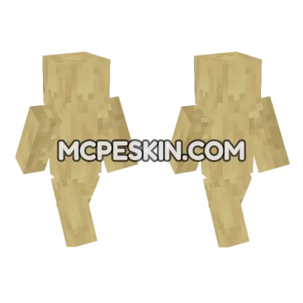 Stripped Birch Log