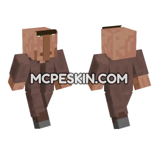 Stupidvillager Skin