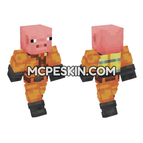 The Pig Skin