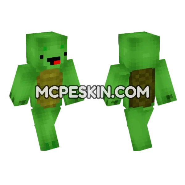 Turtle Skin