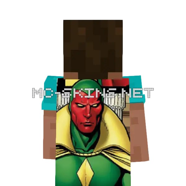 Vision
