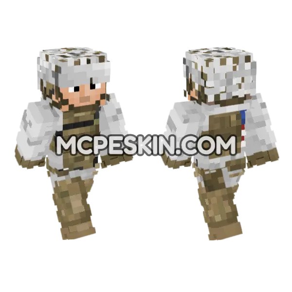 Winter Elements Skin