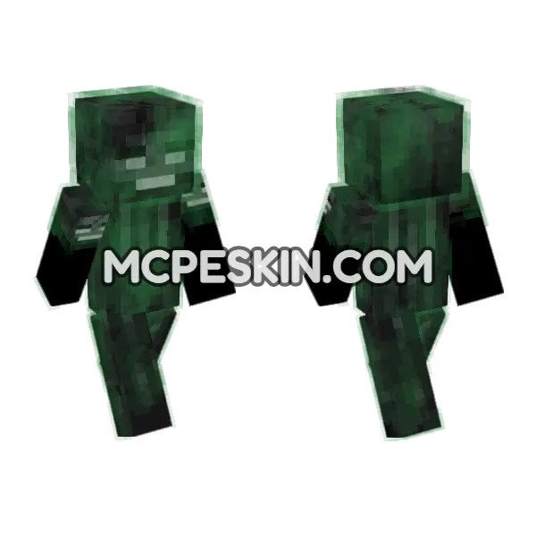 Wither Steve Skin