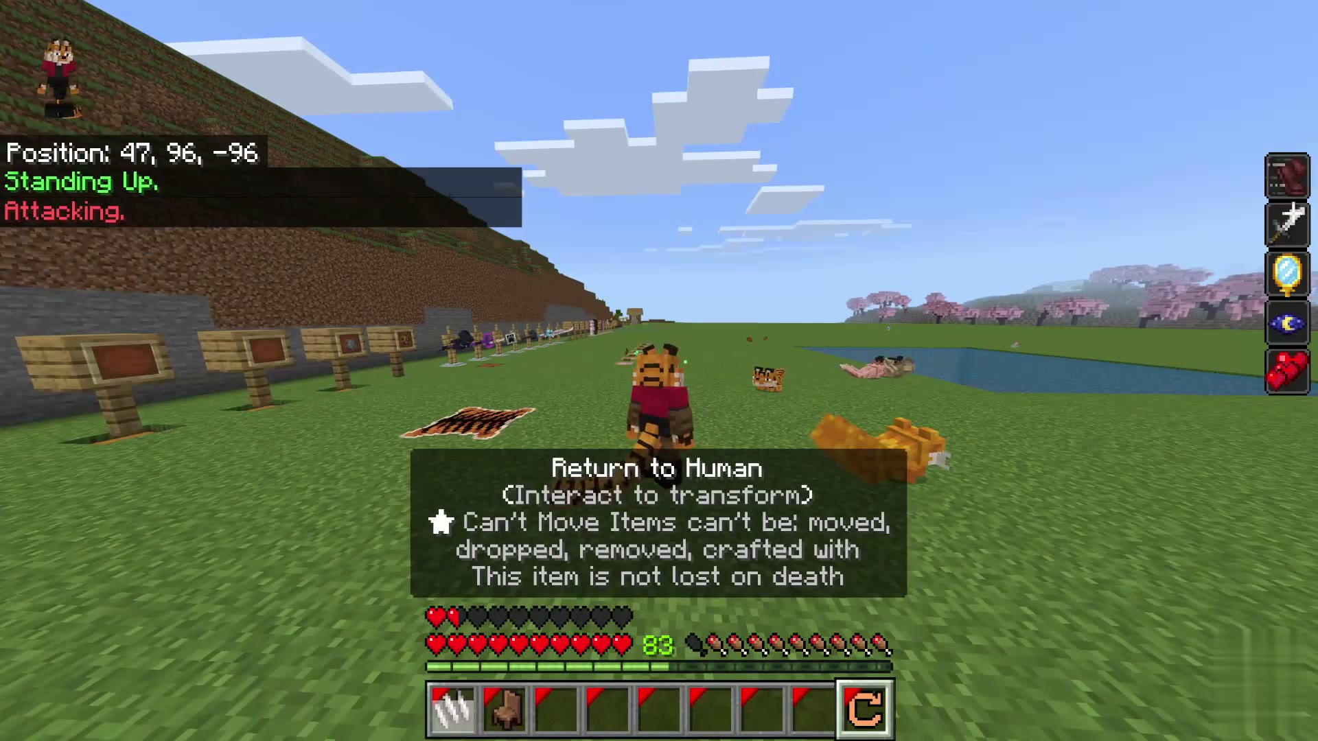 Pet Morph screenshot 6