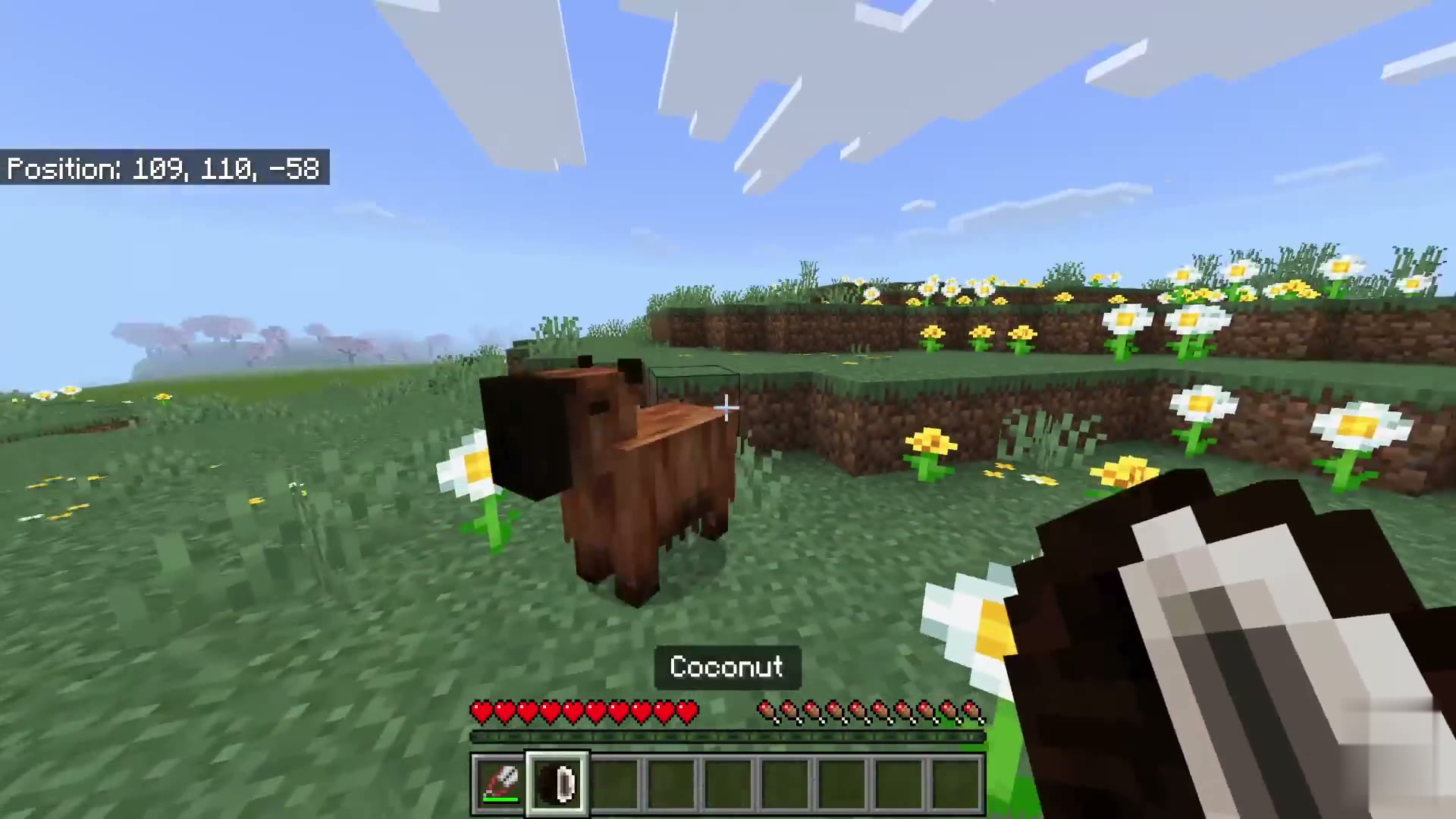 Power Pet screenshot 2