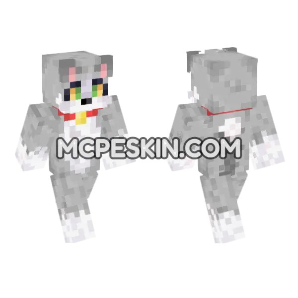 Acenix Cat