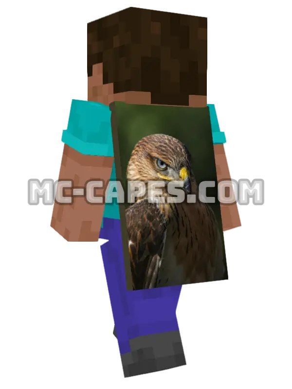 Bird of Prey