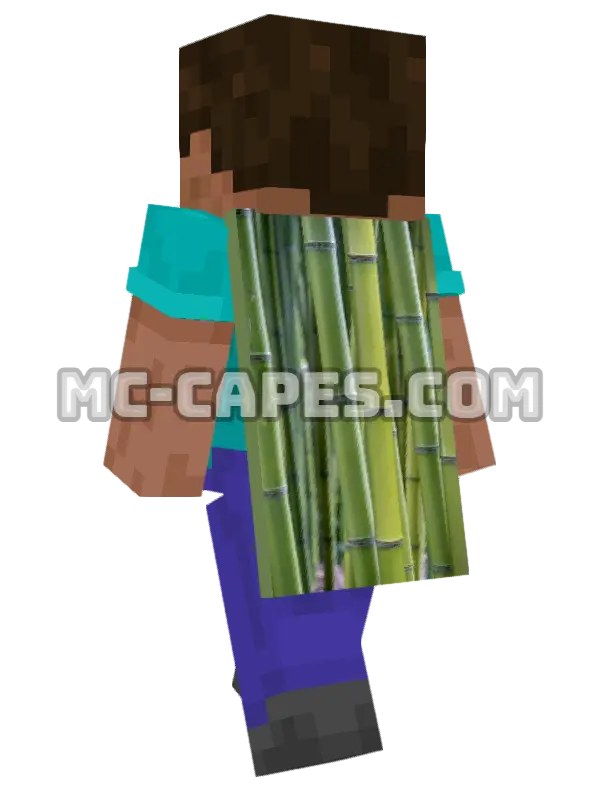 Green Bamboo Stalks