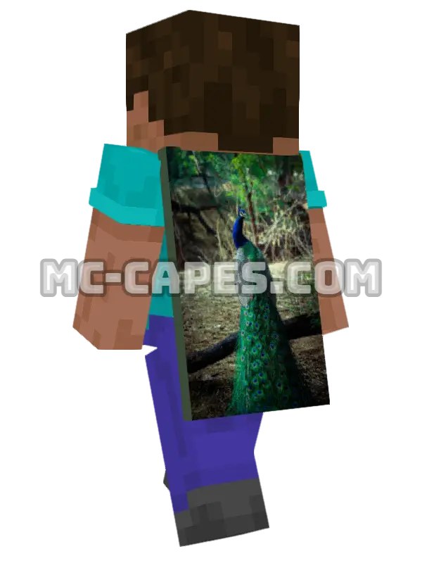 Green Peacock