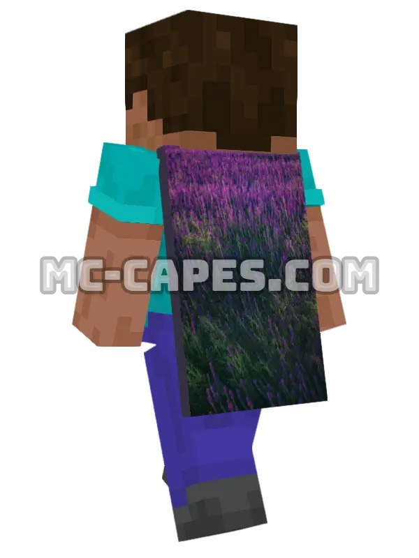 Lavender Field