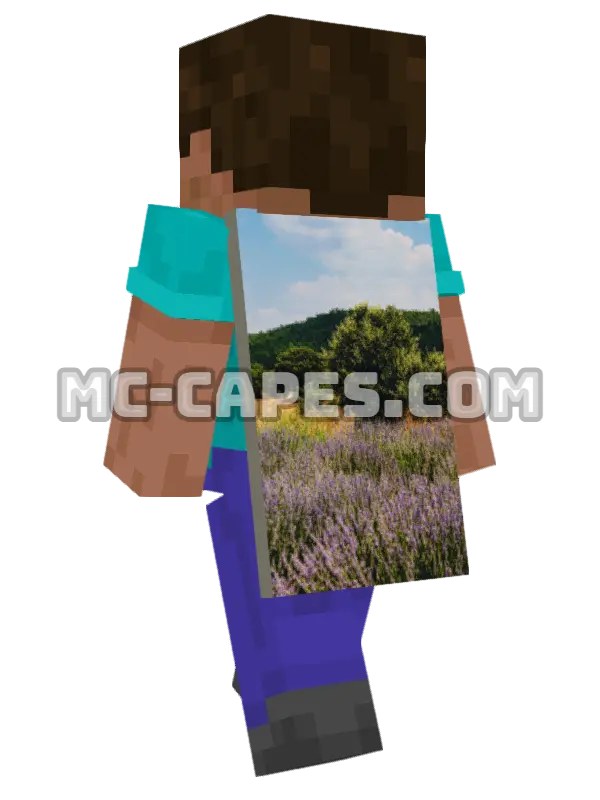 Lavender Field
