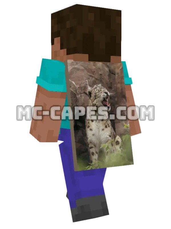 Leopard Rocks