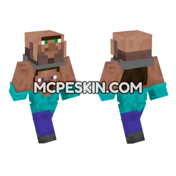 Steve Villager